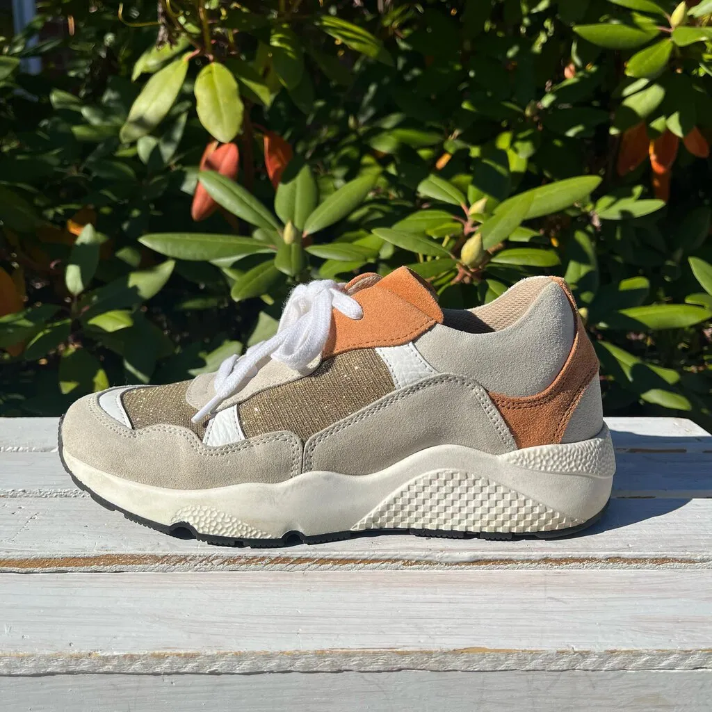 Canal St. Martin Jacque Lurex Sneakers - Size 37