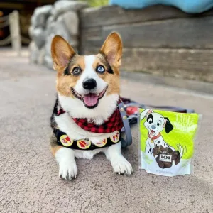 Organic Chicken Tender Jerky Dog Treats
