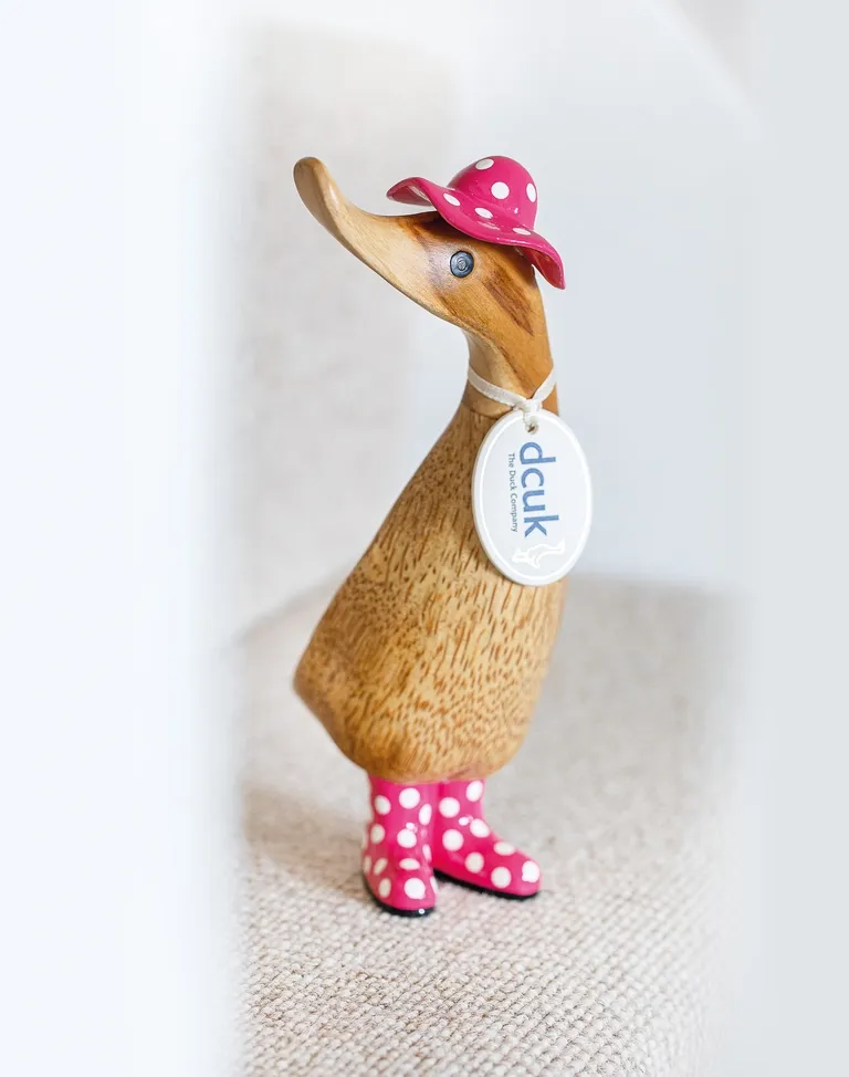 Spotty Hat   Boots Duckling