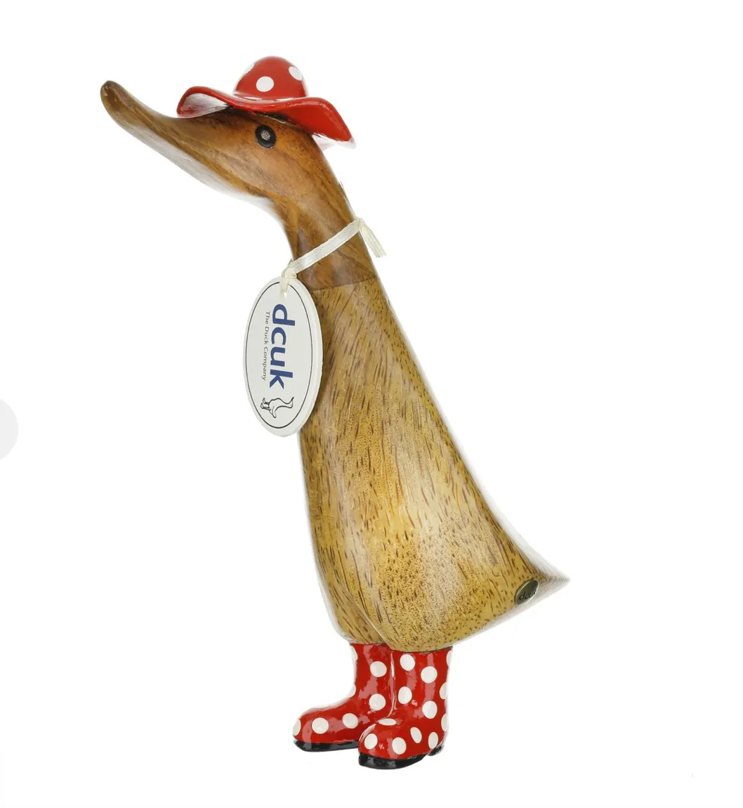 Spotty Hat   Boots Duckling